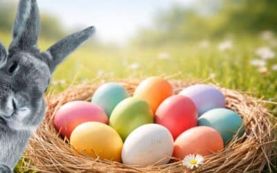 This is how the Easter bunny measures correctly: colour measurement in Easter eggs simply explained