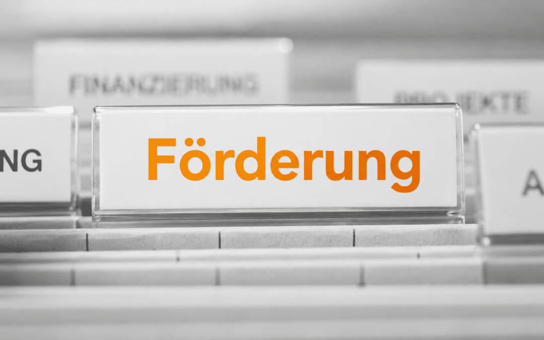 BAFA-Förderung für Messtechnik: Welche Rolle spielt Farbmessung in Modul 3?